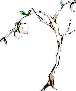 桃子桃樹