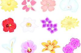 卡通花朵