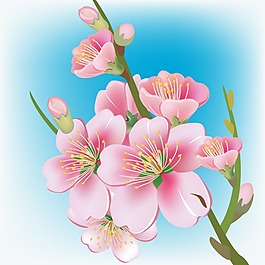印花矢量圖 植物 花卉 花朵 色彩 免費素材