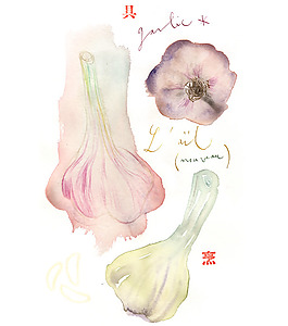 位圖 插畫 插畫師 Lucile Prache 免費素材
