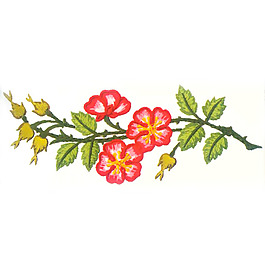 繡花 花朵 樹葉 樹枝 免費素材