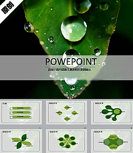 晶瑩水珠ppt模板
