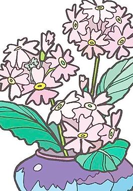 盆景花卉