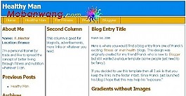 三列BLOG信息網(wǎng)頁模板
