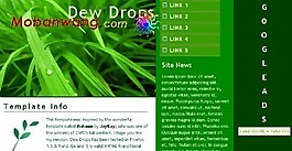 绿色植物信息网页模板