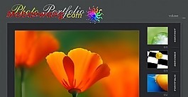 灰色相冊FLASH網頁模板