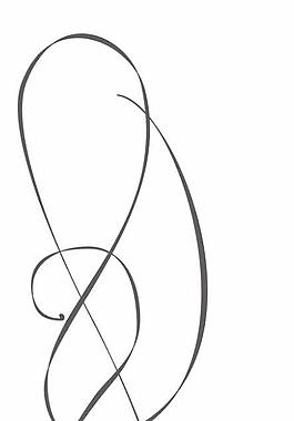 矢量花邊