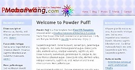 粉扑企业动态网页模板