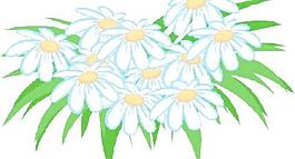 花朵鮮花