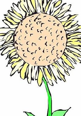 花草花朵花瓣