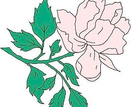 花朵鮮花