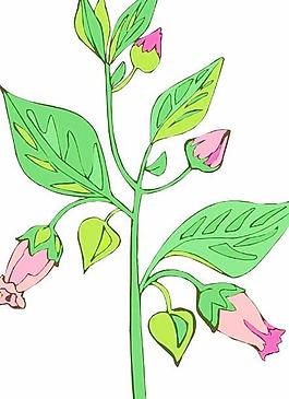 花朵鮮花