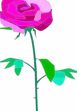 花朵鮮花
