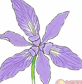 卡通花朵鮮花漫畫