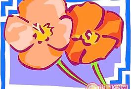 花朵鮮花花瓣