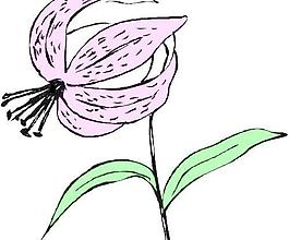 卡通花草漫画