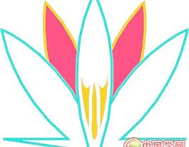 花朵鮮花花瓣