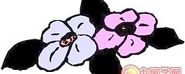 花朵鮮花花瓣