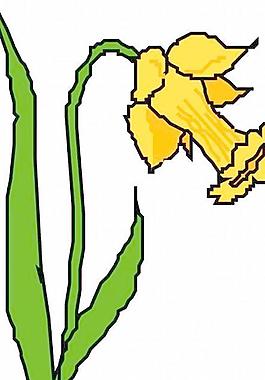 鮮花花朵花瓣