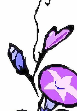 鮮花花朵花瓣