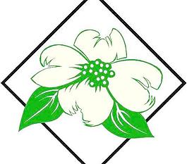 鮮花花朵花瓣
