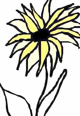 鮮花花朵花瓣