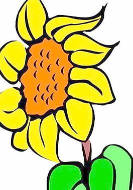 鮮花花朵花瓣