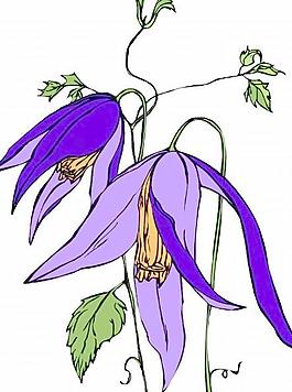 花朵鮮花