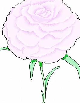 花朵鮮花