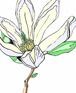 花朵鮮花