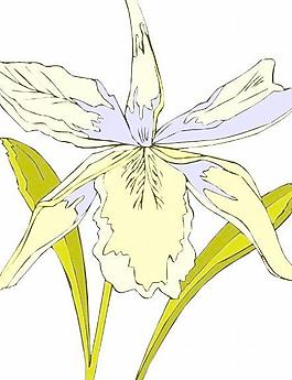 花朵鮮花