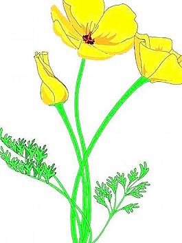 卡通花朵鮮花漫畫(huà)