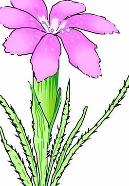 卡通花朵鮮花漫畫(huà)