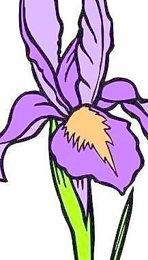 花草花朵花瓣