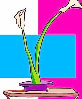 花草花朵花瓣