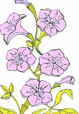 花朵鮮花矢量圖