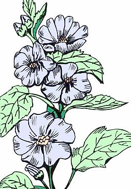 花朵鮮花矢量圖