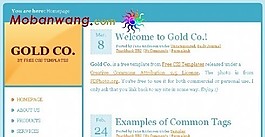 黄金主题公司BLOG网页模板