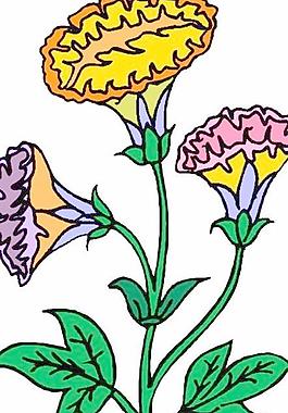 花朵鮮花