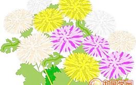 花朵鮮花漫畫