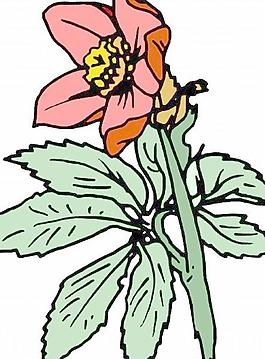 卡通花朵矢量圖