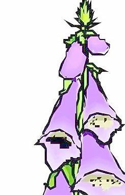 卡通花草漫画