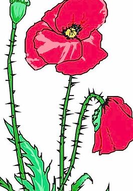 卡通花草漫畫(huà)