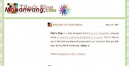 彩色馬賽克背景BLOG網(wǎng)頁(yè)模板