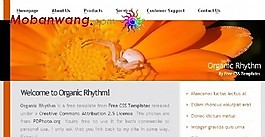 自然節(jié)奏網(wǎng)頁模板