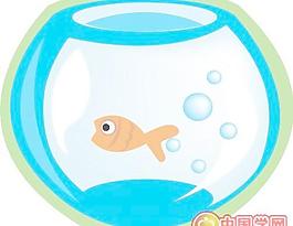 金魚金魚缸
