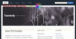 蜘蛛網(wǎng)主題BLOG網(wǎng)頁模板