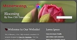 含苞欲放BLOG网页模板