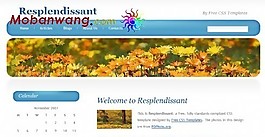 藍(lán)色光澤導(dǎo)航BLOG網(wǎng)頁(yè)模板