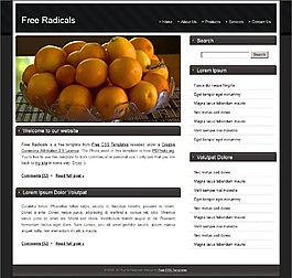 灰黑导航BLOG网页模板